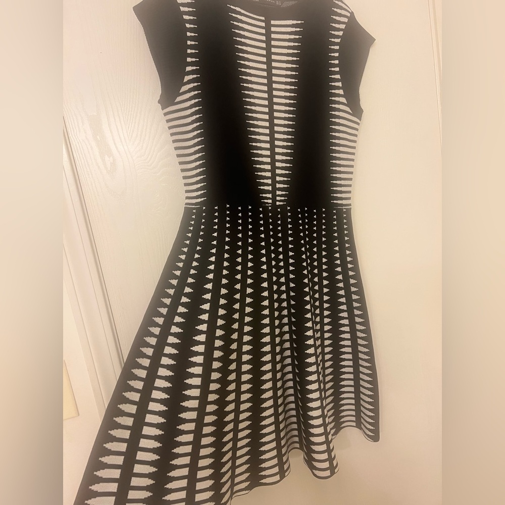 Zara Black and White Striped Midi Dress - Picture 2 of 10